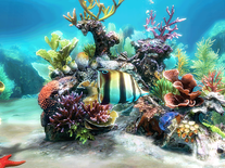 3d marine aquarium screensaver