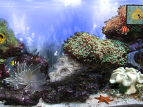 Small screenshot 3 of Anemone's Reef