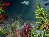 Small screenshot 1 of Aqua Coral Reefs 3D