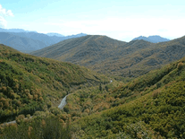 Small screenshot 3 of Autumn in Utah