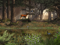 Small screenshot 1 of Deep in the Forest