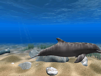 Small screenshot 2 of Dolphin Aqua Life 3D
