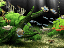 Small screenshot 3 of Dream Aquarium