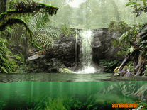 Small screenshot 2 of Fascinating Rainforest