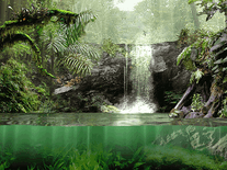 Small screenshot 3 of Fascinating Rainforest