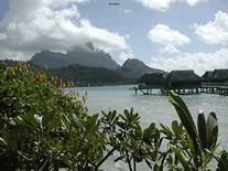 Small screenshot 3 of French Polynesia