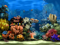 3d aquarium screensaver for windows 10