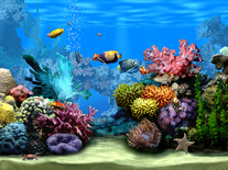 free living marine aquarium 2 screensaver