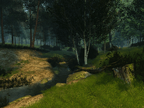 Screenshot of Summer Forest 3D